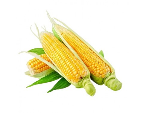 Кукурудзяна олія 3,0дм3